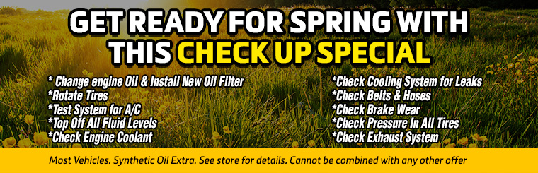 Spring Check up